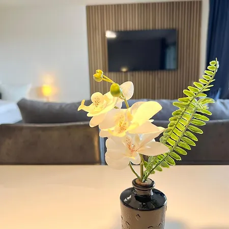 Ferienwohnung Wesseling * Wesseling